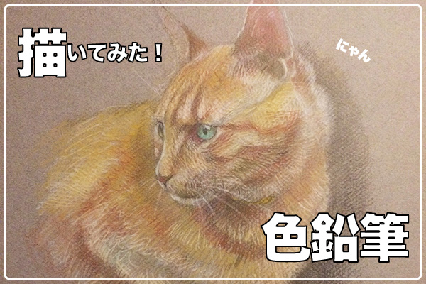 毛の表現って実は簡単 色鉛筆を使った猫の描き方 絵かき暮らし